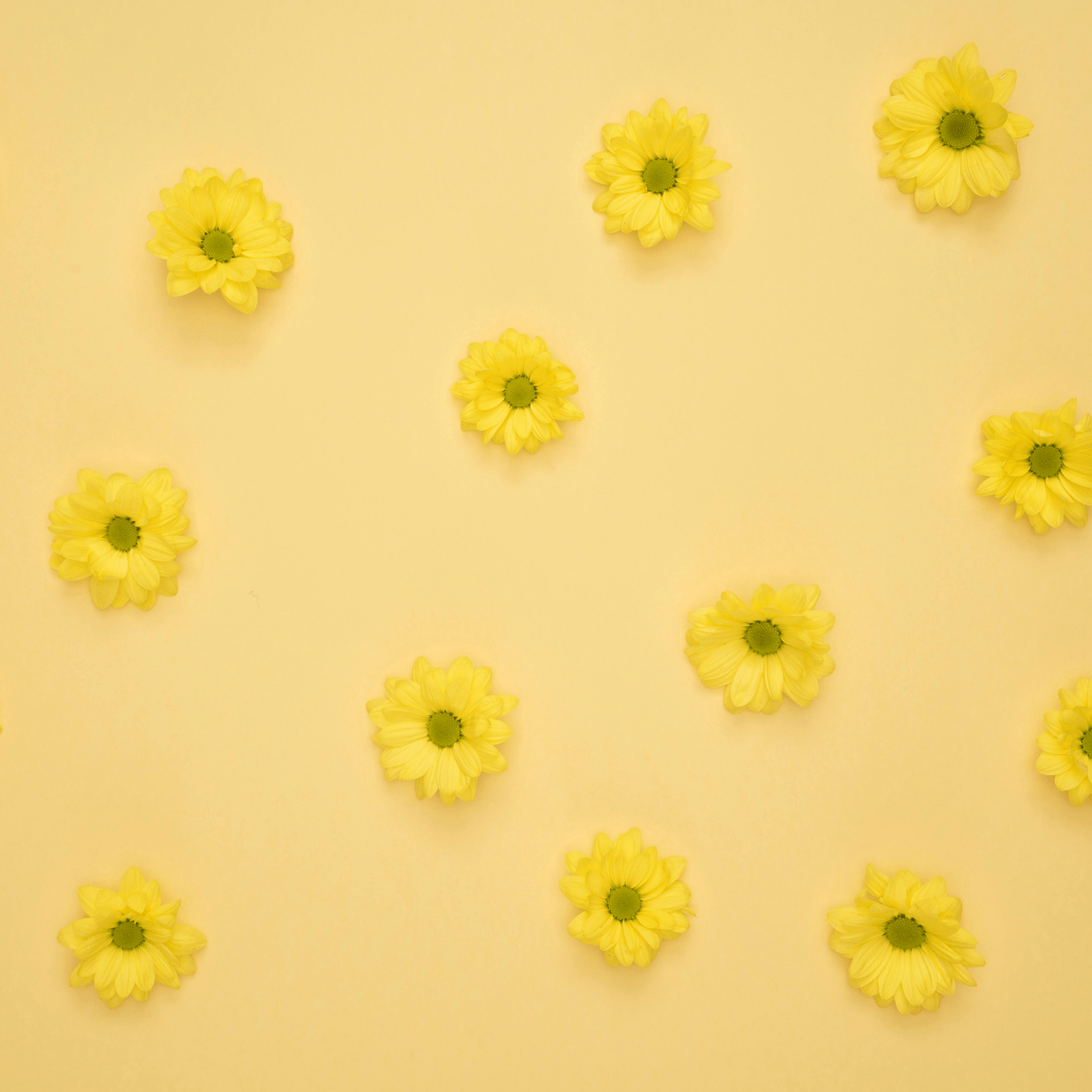 Automate repetitive tasks